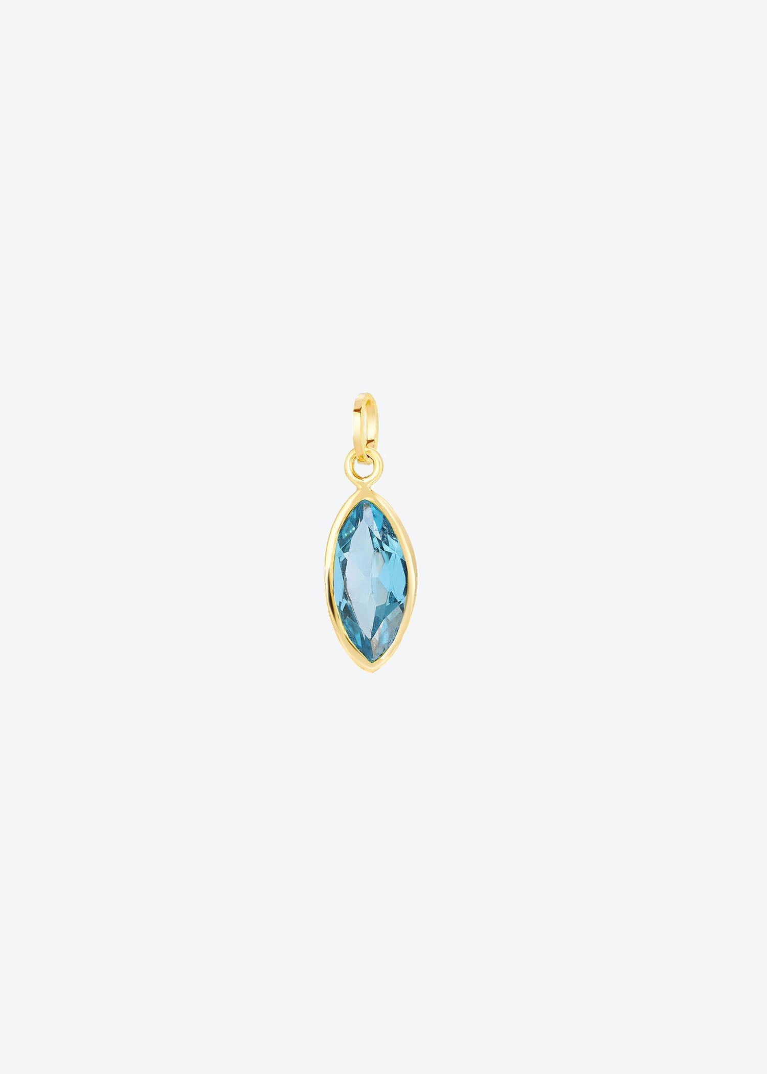 November Birthstone Charm